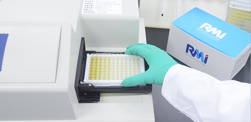 Molecular diagnostic reagents